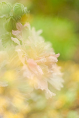 A9757C10-03FD-4442-AD23-3F626E400EE4