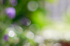 581AC615-5835-4464-9813-74E91F5560CB