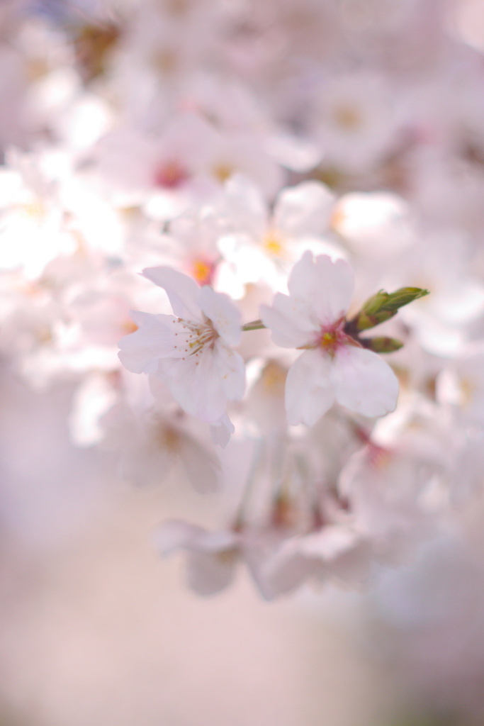 EE599395-A4EC-4B5A-8FC7-DA3F9750C0B8