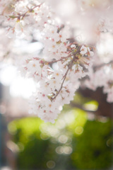 377204FE-276D-44F8-8A16-9CA0C9480224