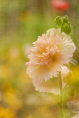 4D0D071A-D9EE-4E4B-BDB8-46B34CCAD92C