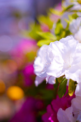 FBC9BC1D-1000-486B-A095-853687C94C4D