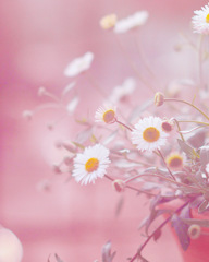 2D47FD48-E73F-454A-B7A0-66C2027404F3