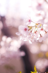 CD03E419-157F-468C-B5AE-5414E8E9F876