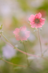 68AC924D-574D-43D3-940F-456066100405