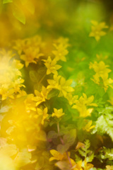 6B1DCFD4-3D91-4721-8F7C-FF6918240844