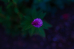 2375FA3C-02FD-44C6-A9EA-39604BCE175C