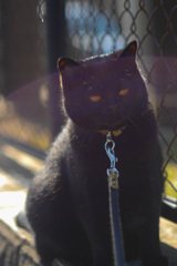 5472AA88-AAAD-4C71-A1E9-CAB25388D067