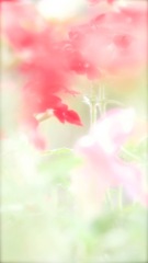 B114382D-7898-4865-BBA6-7572962369C4