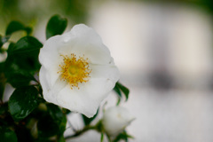 0DD0B81B-06BE-408D-90BD-AAFEA70E10E0