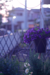 FDEFD72A-22E8-456E-854E-14F26AE7D722