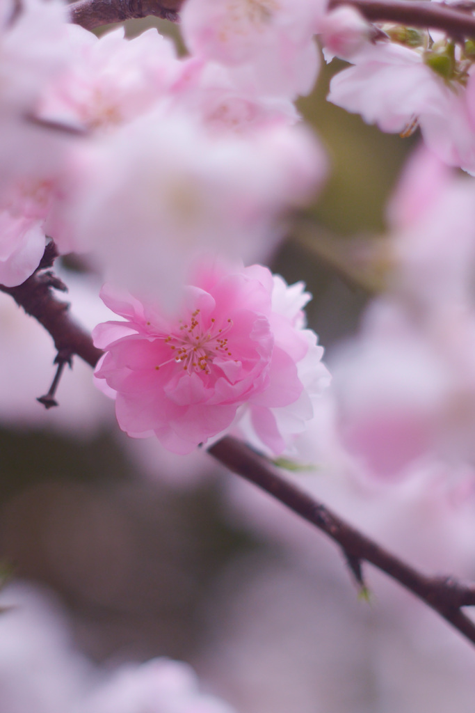 CD5F80D7-3C56-40AE-9ACA-37F66546F78C