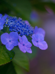 65AEFD46-DB59-431B-9D13-33630284BD93