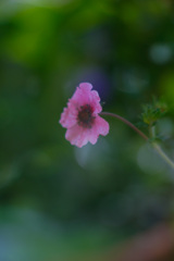 F3295696-4845-4416-9DD0-E50B42D41BB4