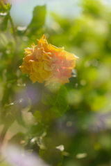 2B5A82B8-098B-48A8-9E64-28E36E613CBA