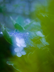 447808A0-D8CE-4605-8C81-5D66865890E5