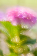 153531FF-3834-451E-B3B6-F733E40AD24E