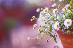 C23E35FE-352A-49C0-AE2D-19B948C6728B