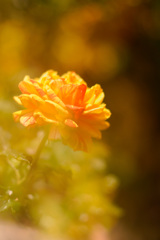 3E82CC43-D4C7-4268-AA74-4A62F8E1BC08