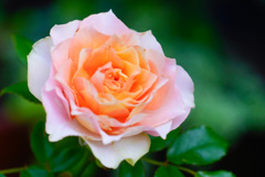 8F725BC9-A55D-465B-991F-563934C198C9