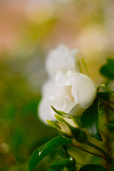 DF9DC5A0-43AA-4448-867F-60F4203BD953