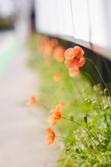 2555C219-F32D-43F8-8BCB-45BEE9721112