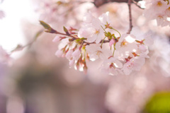 72E33325-A95D-4EDE-9F7C-155B909E6010