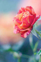 30F09ACF-B150-4A63-B668-EFFABAB3BB81