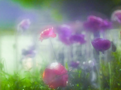 20E410CB-6ED8-414C-86E8-C0062FED7011