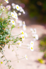 3AC8B002-D50E-48B6-9F02-3660B000BB81