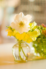 41FAF053-8247-477A-AE4D-29C41E89AEC8