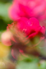 02CC10C5-C34F-4273-9E58-2F5B1011884F