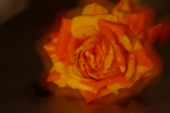 18855199-78FA-4284-A528-3BF63A81035E