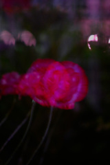 BB96B0D6-8716-49EF-B330-23E991F2F19C