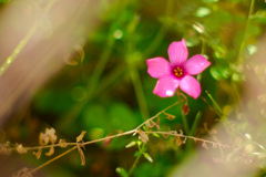 AB206DC5-65EA-42FC-ACDE-57F6B962E3E3