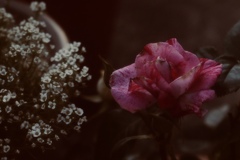 11C09AFD-B416-4531-AF91-DEE02F132288