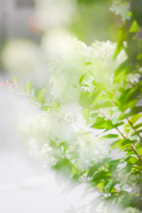 0E91549B-22D0-43F6-A062-7BC95D0637C8