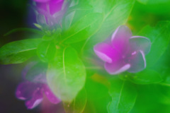 DAC2F822-B9F0-47A7-9236-5FEEA0CF6D1D