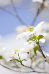 D84EECF2-3BEF-4160-A97D-4DE5665B45B2