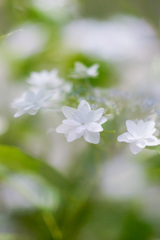 02A6E8F8-203F-4686-9C79-FEB02858C256