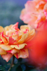 06B83A05-702F-4488-B6FD-734211DC7C01