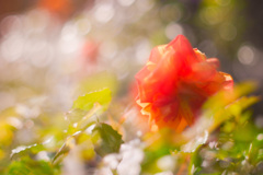 FD7EF564-15ED-4F3E-B4F9-C26B2D4B511F