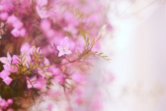 EB9364C7-D6EE-4AC3-9ACB-79D2F92DFE36