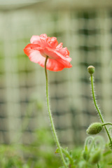 ABEAEF54-AD70-4299-B8AD-0776E9FBA05E