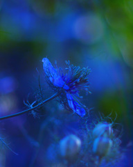 38C391A0-1C55-4A6A-9673-5C878B5A3D3A