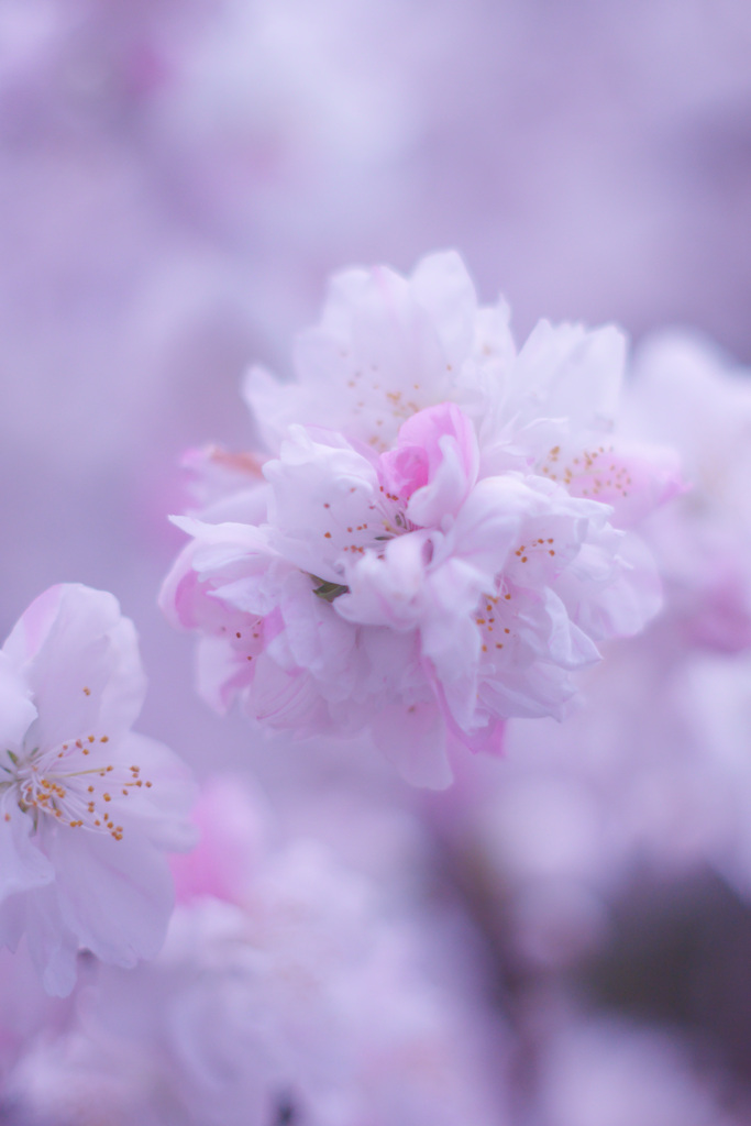 419A5002-A6B7-4332-B1F7-B159497A6FBC