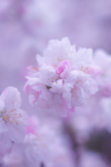 419A5002-A6B7-4332-B1F7-B159497A6FBC