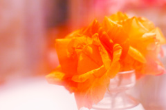 EABE8BD9-6A9E-4ED2-9D1A-503CCEEA6744