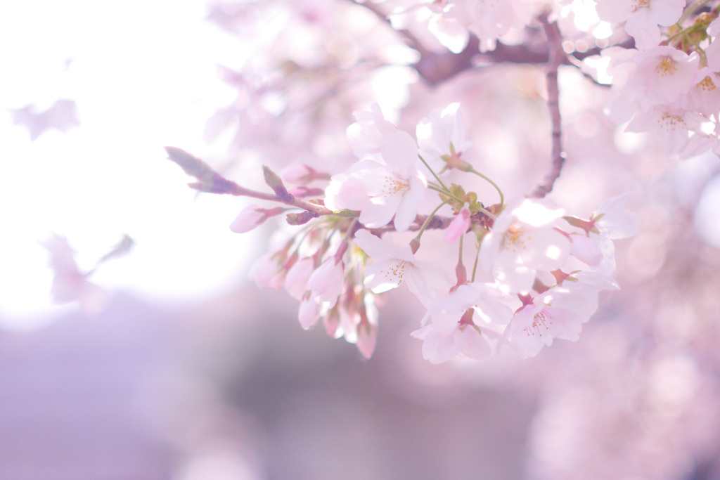 A710018B-4CF0-4D94-84B3-AA4D5F2D5168