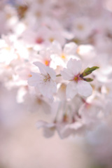 65EF3A7C-FA83-4892-AC7B-A5455D5A7135